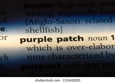 29 Text patch for definition Images, Stock Photos & Vectors | Shutterstock