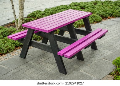 Purple Picnic Bench Surrounded By Shrubs. Outdoor Table And Bench For Public Use.  