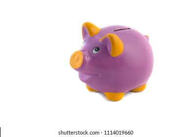 Purple Piggy Bank On White Background