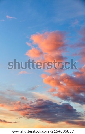 Purple, pink and orange tints clouds in the blue sky at sunset. Big fluffy cumulus cloud. Scenic wallpaper. Nature background. Colorful space. Evening cloudscape. Peace concept. Heaven paradise. Pure.