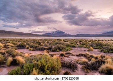 A Purple Pink Sunset On The Lagunas Route. It Is An 4x4 Only Alpine Route Going Through The Volcanic Region Of Bolivia. 