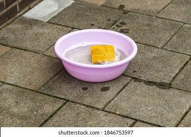 purple plastic round tub filled with soapy water and a sponge standing on the street - Powered by Shutterstock