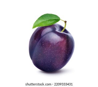 Purple plums with leaf isolated on white background. Clipping path.