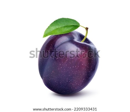 Purple plums with leaf isolated on white background. Clipping path.