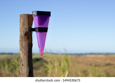 Purple Rain Gage On A Wooden Pole