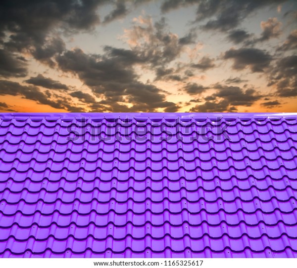 purple roof travel