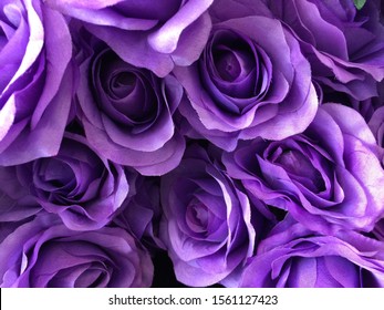 Purple Rose Background Romantic Backdrop Stock Photo 1561127423 ...