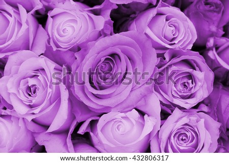 Purple roses in a wedding arrangement
