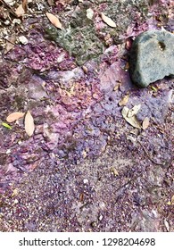 Purple Shale Rock. Carnarvon Gorge Australia