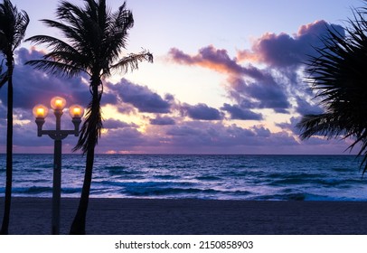 Purple Silhouette Tropical Palm Trees At Sunrise in Hollywood Florida beach - Shutterstock ID 2150858903