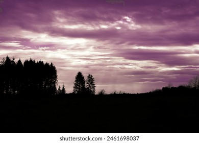 a purple sky with some trees in the foreground and a purple sky with a purple sky behind them, silhouette