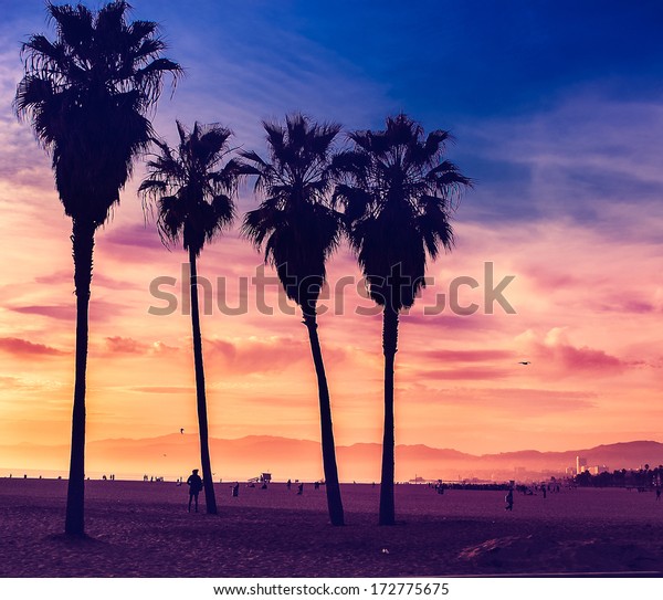 Purple Sky Sunset Venice Beach Los Stock Photo Edit Now 172775675