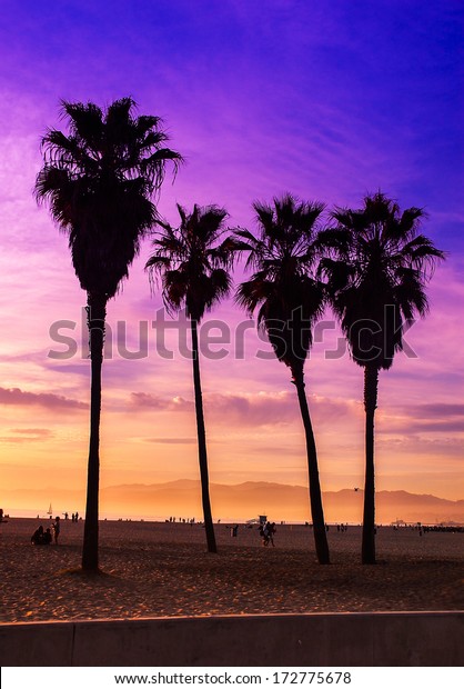 Purple Sky Sunset Venice Beach Los Stock Photo Edit Now 172775678