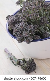 Purple Sprouting Broccoli