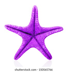 Purple starfish isolated on white 