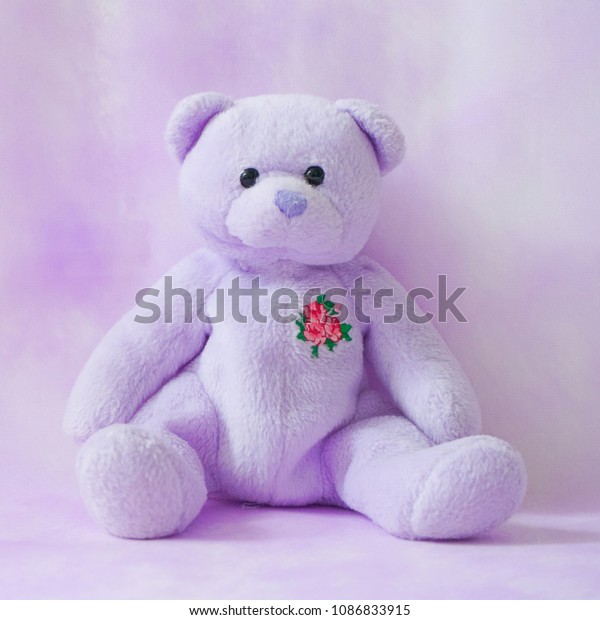 purple teddy