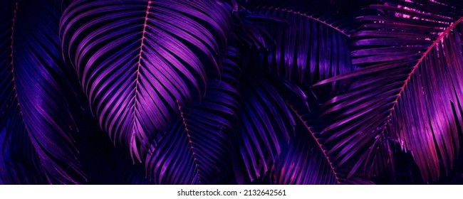 purple tropical palm leaf background - Shutterstock ID 2132642561