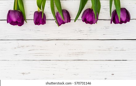  Tulips  Border  Images Stock Photos Vectors Shutterstock