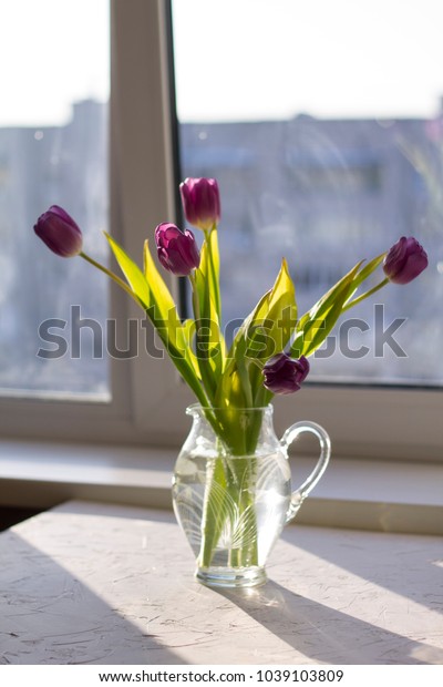 Purple Tulips Glass Vase Stand On Stock Photo Edit Now 1039103809