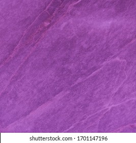 purple violet texture background backdrop for graphic design