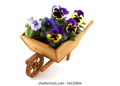 Purple Violins In Wooden Wheel Barrow Isolated Over White