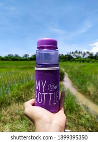 Purple Water Bottle On Hand In The Rice Field