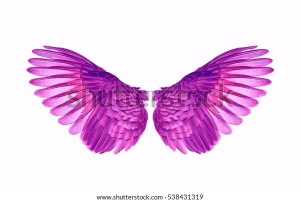 Purple Wings Birds On White Bacground Stock Photo (Edit Now) 538431319