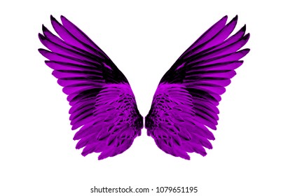 Purple Wing Images, Stock Photos & Vectors | Shutterstock