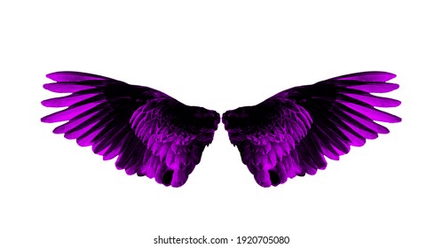 Purple Wings Images, Stock Photos & Vectors | Shutterstock