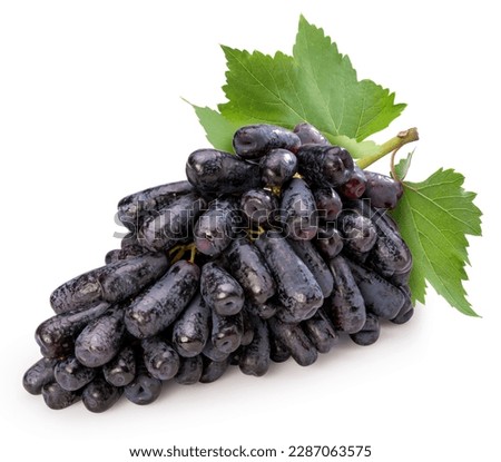 Purple Witch Finger grapes isolated on background, Moon Drops grape or sapphire grapes with leaves isolated on white With clipping path. Stock photo © 