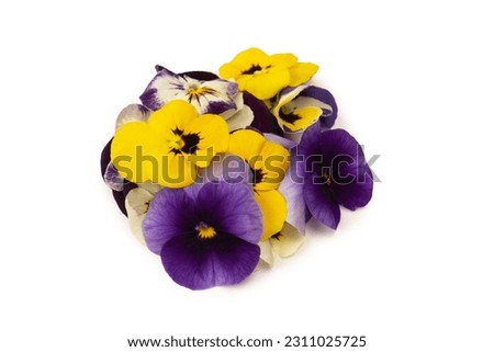 Purple and yellow edible flowers isolated on a white background.