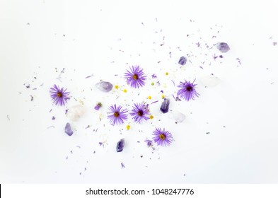 purple and yellow flowers on white background white space