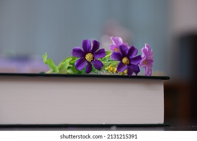 Purrle Flower On Hardcover Law Book In Blur Office Room For Business Or Education Background