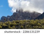 Pusch Ridge along the western flank of the Catalina Mountains in the Sonoran Desert. Beautiful low hanging clouds and a rare dusting of snow amongst the saguaro cacti. Oro Valley, Arizona, USA.