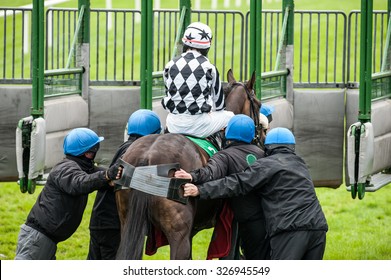 Pushing Race Horse Into The Starting Gate