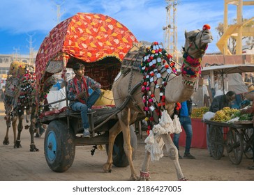 Pushkar, Rajasthan, India - November 22nd, 2015 - Ornate Camel Pulling Man On Wagon At Pushkar Mela In India