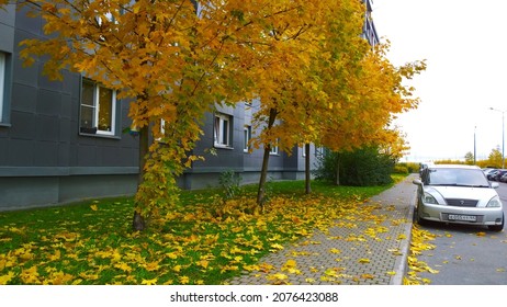 Pushkin, Russia - October, 2020: Car Parking On City Road Near House. Yellow Orange Dry Fallen Maple Leaves On Asphalt. Golden Autumn Street. Fall In Town. Tree. Sustainable Living. Ecology Concept.