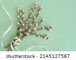 pussy willow bouquet on a green background, copy space. beautiful fluffy sprigs of willow blooming on a green table, top view. Easter floral card, spring flowers and plant, eco friendly
