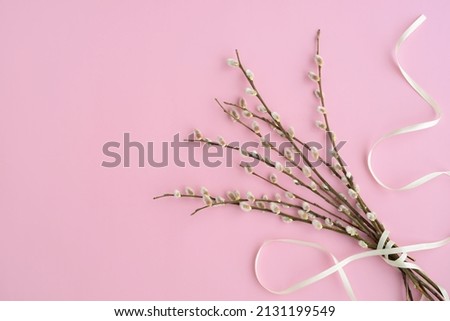 pussy willow bouquet on a pink background, copy space. beautiful fluffy sprigs of willow blooming on a pink table, top view. Easter floral card, spring flowers and plant