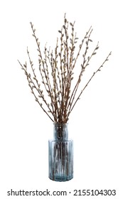 Pussy Willow (sallows, Osiers) In A Vintage Glass Vase