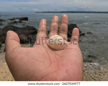 put the shell of one type of sea animal in the palm of the hand.