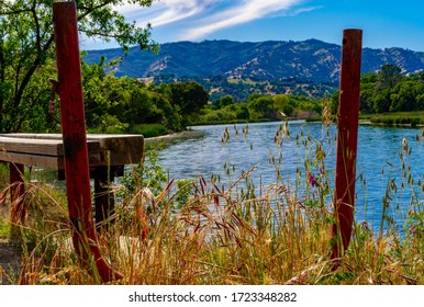 Putah Creek Bench And Water