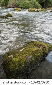 Putah Creek Solano County, California