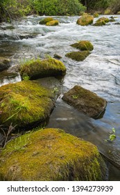 Putah Creek Solano County, California