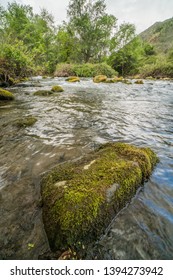 Putah Creek Solano County, California