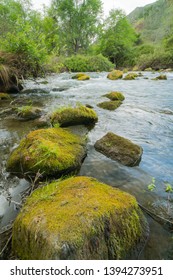 Putah Creek Solano County, California