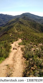 Putah Creek Trail