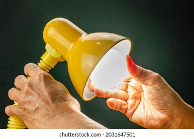 Putting New Led Light Bulb Into The Socket Of Desk Lamp. Senior Hand Replaced New Light Bulb Of Reading Lamp And Turning On.