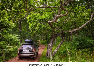 Putyatina, Russia - July 28, 2020: Black Subaru Forester With Rooftop Cargo Carrier At Forest Road In Summer