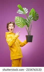 A Puzzled Boy Teenager In Bright Yellow Hoodie Carries A Room Plant In Front Of Him Looking At It With Surprise. Young People, Lifestyle. Education, Biology And Environment.